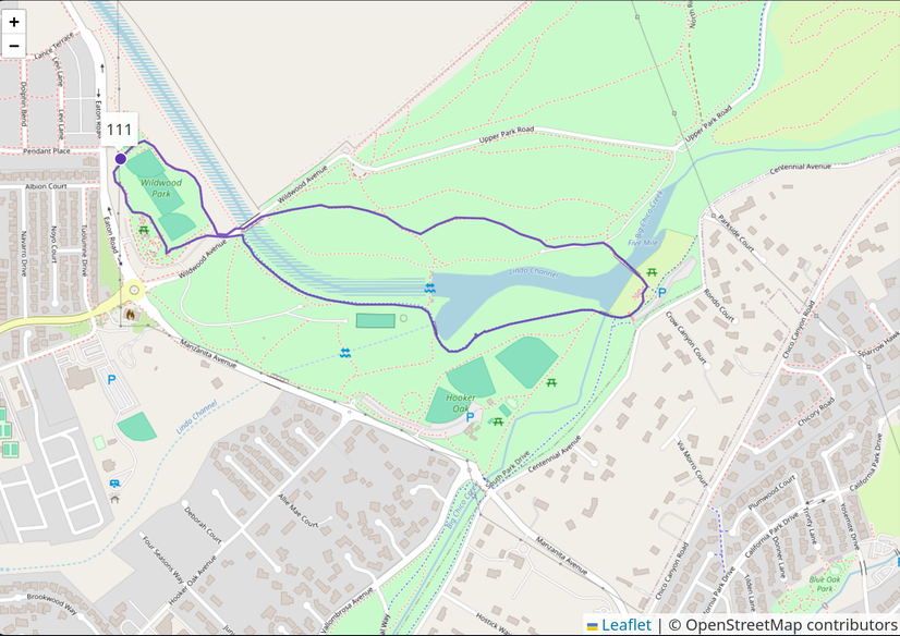 Runner Tracker Demo
